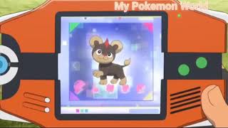 Litleo Pokedex Entry Pokemon xy