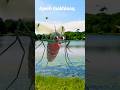 Khatarnak machar Ye konsi makhlooq he #viral #shorts #tiktok