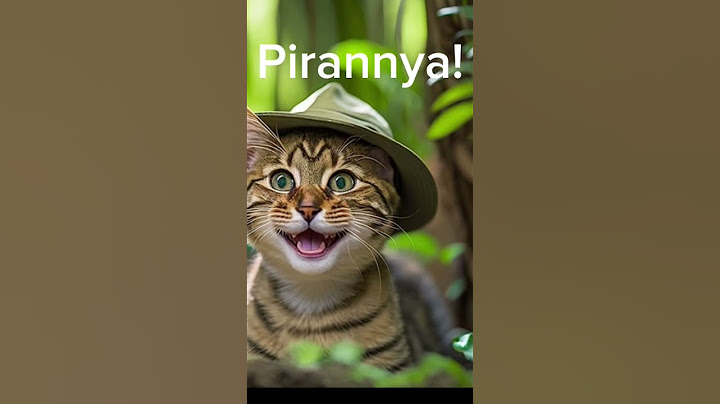 Csak macska beszélgetés.🐱🤫