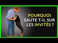 Mon chien saute sur les gens et mme sur les inconnus   3 solutions rapides 