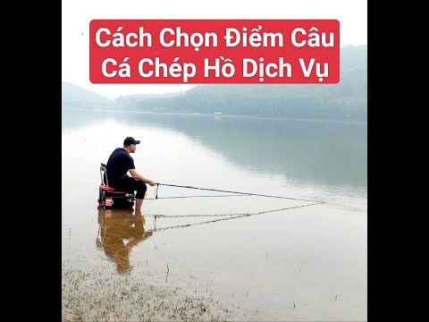 Cách Chọn Điểm Câu Cá Chép Hồ Dịch Vụ