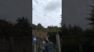 south Devon clay shoot