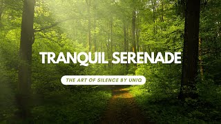 Tranquil Serenade: The Art of Silence