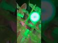 1分だけ目をつぶってお聞き下さい！ #asmr #relax # #relaxing