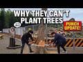 Big Change Coming to Monkey Mountain... Why They Can&rsquo;t Plant Trees for Punch 4/5 September 2026
