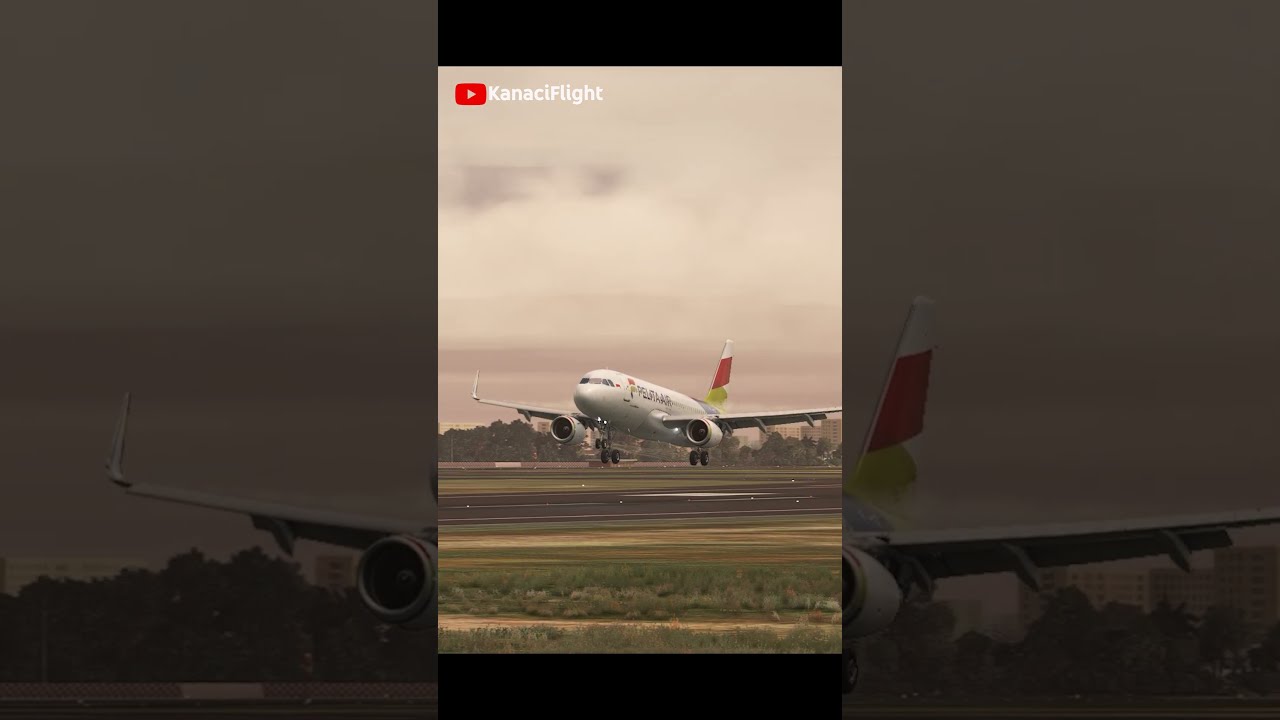 PELITA AIR AIRBUS A320 LANDING SOEKARNO HATTA Shrots Aviation Ivao