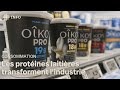 Protein Craze A New Windfall For The Dairy Industry Protein Craze A New Windfall For The Dairy Industry