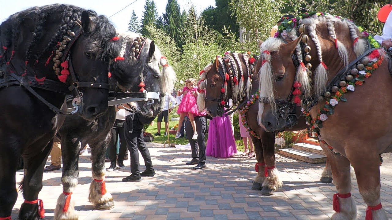 Nuntă de poveste Daniel și Crina 26 Iulie 2025 Maramureș