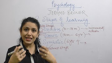 Basic Concept Bruner Theory|Child Development & Pedagogy|CTET, KVS, HTET,|2019