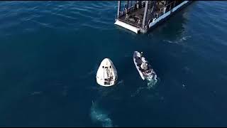 🐬 **Dolphins Welcome SpaceX Crew-9 During Ocean Splashdown!** 🚀🌊#sunitawilliams #NASA​ #spacex  ​