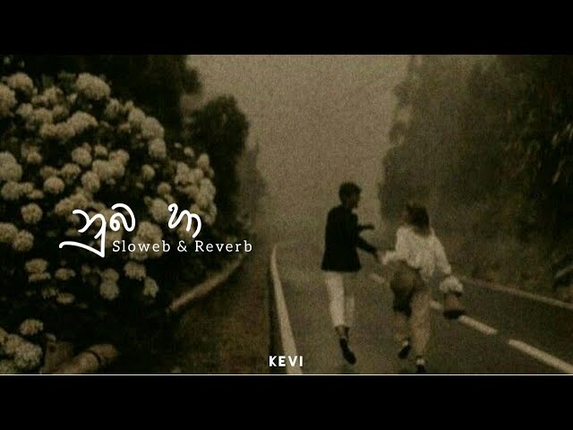 Nuba ha / නුඹ හා (Slowed & Reverb) class=