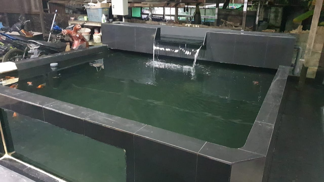 cara buat kolam ikan koi ,full dari awal sampai akhir
