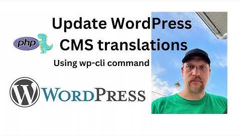 Update WordPress CMS translations using wp cli