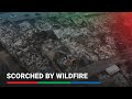 Drone video shows wildfire-scorched neighbourhood in Chile | ABS-CBN News