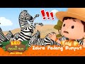 Zebra padang rumput  leo si penjaga alam  minisode