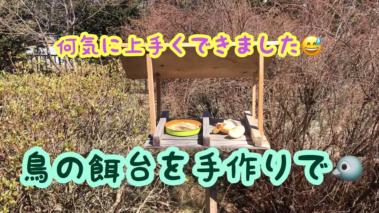 野鳥観察をするために庭に手作りのエサ台を設置 野鳥その3 Youtube 野鳥観察をするために庭に手作りのエサ台を設置 野鳥その3 Youtube
