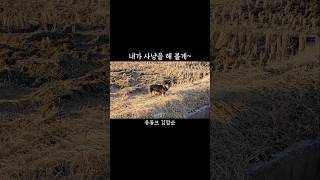 머쓱코쓱 #shorts