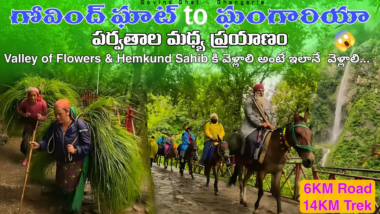 Exploring the 20KM Steep Trek to Ghangaria! 🌊 | గోవింద్ ఘాట్ నుండి ఘంగారియా వరకు..