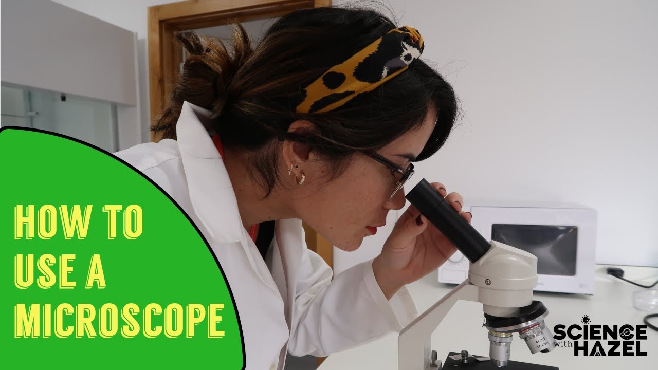 How To Use A Microscope Biology Practicals YouTube
