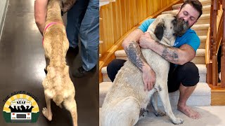 Mildred's one year transformation has left me speechless | The Asher House