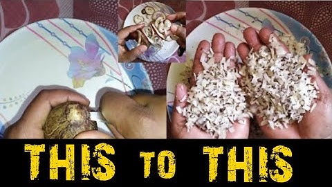 CUTTING A DRY COCONUT IN FINE PIECES, WATCH IN FAST FORWARD/////