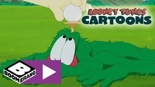 Looney Tunes Cartoons | Fashionless Wolf | Boomerang UK