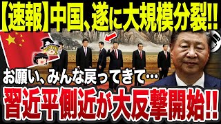 【ゆっくり解説】なぜ中国共産党内で習近平下ろしが止まらないのか？
