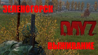 ВЫЖИВАНИЕ В ЗЕЛЕНОГОРСКЕ / КАК ВЫЖИТЬ ОДНОМУ НА ВОЕНКЕ / DAYZ PODPIVAS VANILLA