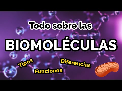 Video: ¿Cuáles son las diferentes biomoléculas?