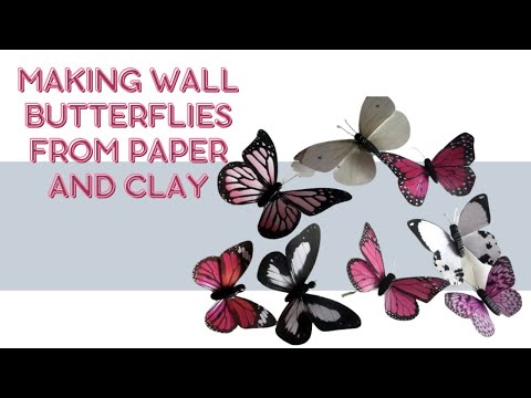 M butterfly essay