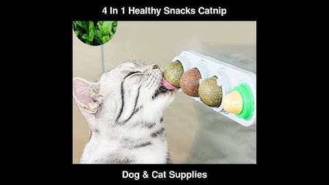 4 In 1 Healthy Snacks Catnip Sugar Candy Licking Nutrition Gel Energy Ball Toy | Dog & Cat Supplies