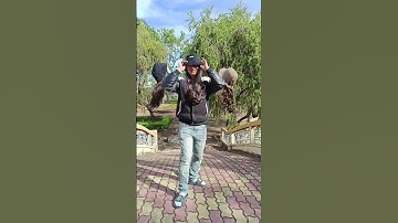 Đội mũ tóc giả mà cứ tưởng đi xiếc khỉ kkkk #mutocgia