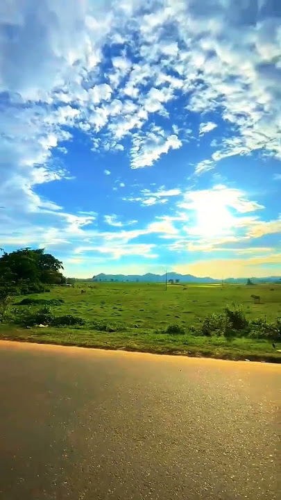 Ringtones A Thousand Years