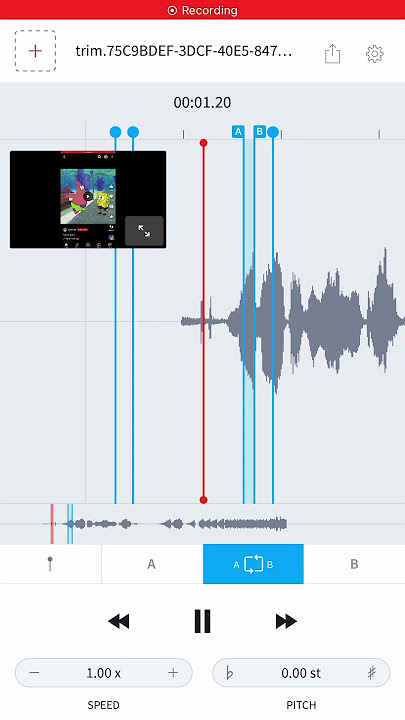 Patrick Sound like Sans From Undertale ￼￼