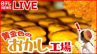 【社会科見学ライブ】長さ65mのオーブン お菓子工場/お化け屋敷の仕掛け人/東海道新幹線の舞台ウラ2022/東京ドーム秘密エリア　など（日テレNEWS）