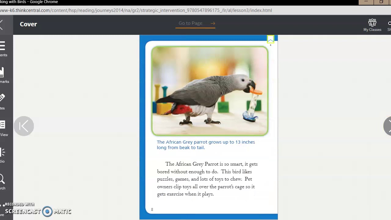 Talking with Birds Read Aloud - YouTube