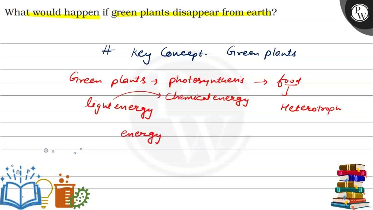 What would happen if green plants disappear from earth? (IV YouTube