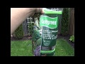 Fertilizing Your Evergreen Shrubs (Cedars) Using Golfgreen Fertilizer