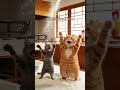Cat Bakery #9cutecat #cat #kitten  #shorts  #cute #catai #story #funny
