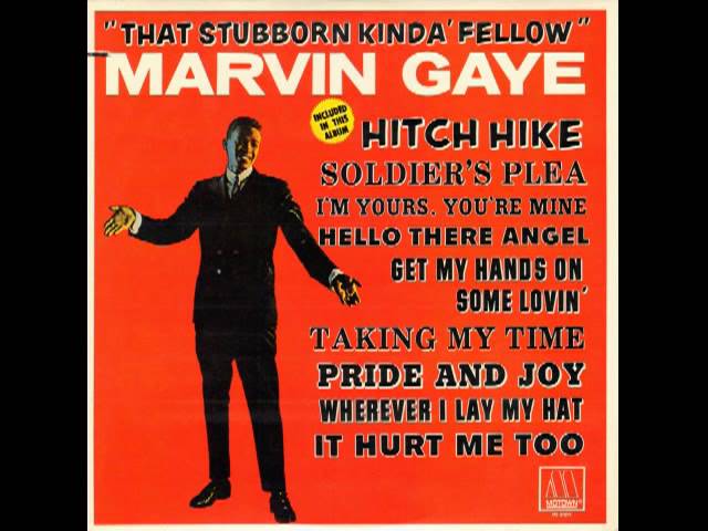 MARVIN GAYE - STUBBORN KIND OF FELLOW