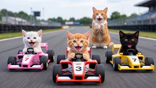 Mama Cat Trims Fur on the Farm and Makes Tiger Hat For Kittens At Home🐾🎩🐯