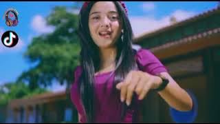 LAGU INDIA REMIX FULL BASS ( VIRAL TIKTOK ) 2022