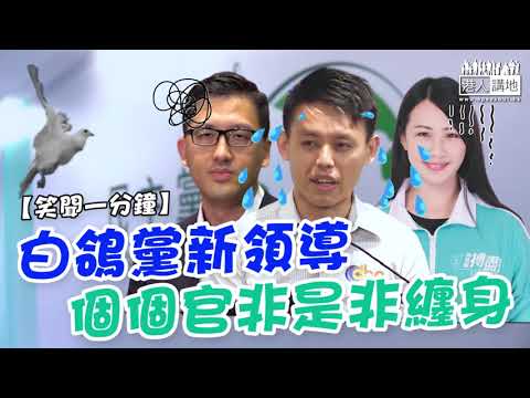 【短片】【笑聞一分鐘】白鴿黨新領導、個個官非是非纏身