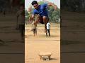 Boys high jump #reels#sports#subscribe#support#viral#viralvideo#trending#new#memes#yt#army#edit#yt