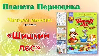 Планета периодика: Шишкин лес