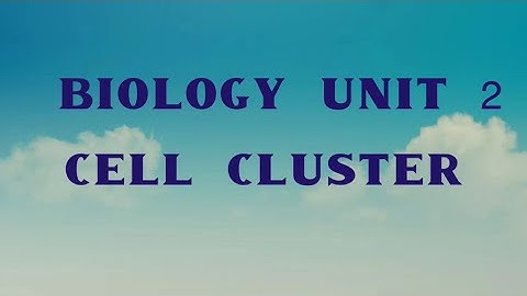 8th basic science chapter 2( cell clusters)