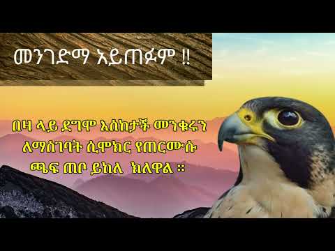 ትረካ ቁጥር 10 ብልሁ ጭልፊት አጭር አስተማሪ ታሪክ Seifu On Ebs