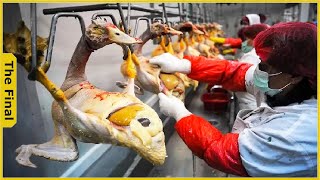 Farmer Earns 100 Million USD from Modern Duck meat Processing Technology | Food Processing Machines