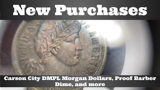 Carson City DMPL Morgan Dollars, Proof Barber Dime, and more - New Purchases