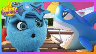 The Sunny Bunnies better watch out, there's a SHARK on the loose! 🦈 | Sunny Bunnies